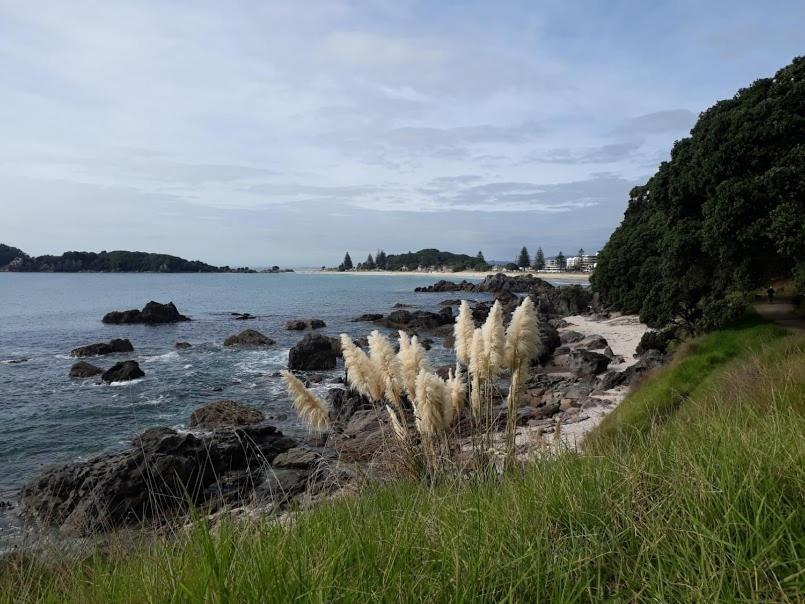 Downtown Mount B And B Mount Maunganui Buitenkant foto